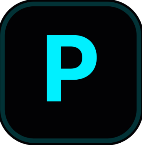 Payflo logo