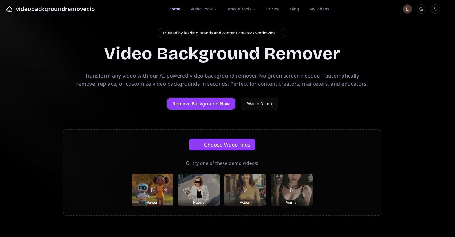 Video Background Remover logo