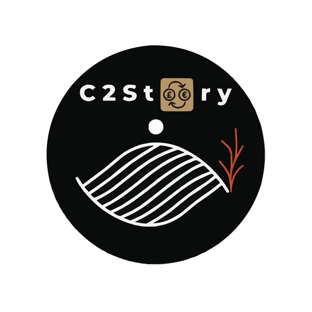 C2story logo
